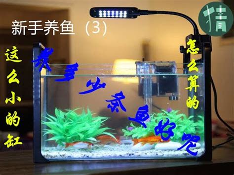 魚缸可以養幾隻魚 台灣送禮禁忌